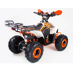 Квадроцикл бензиновый MOTAX MIKRO 110 сс, фото 3 Квадроцикл бензиновый MOTAX MIKRO 110 сс, фото 3