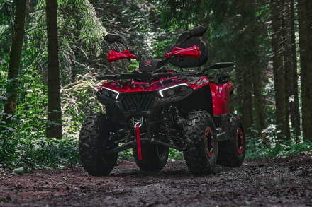 Квадроцикл SHARMAX Hummer 320 RX, фото 16