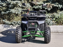 Квадроцикл RMOTO Lion 125AR Lite