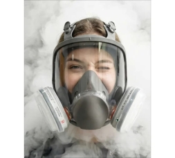 Профессиональный респиратор/маска/противогаз RoomBroom МС7800 ( 6800 )/3М, FFP3 с фильтром B1(серый) RB2175, фото 1