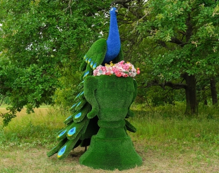 Топиари павлин Корица - газон Premium, фото 2