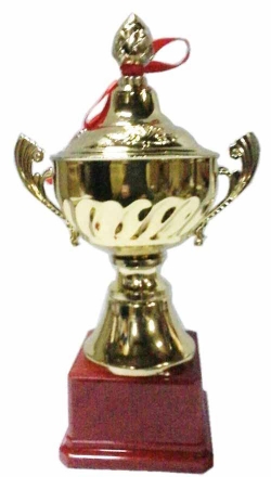 Кубок D8 A h-30см (с крышкой), фото 1