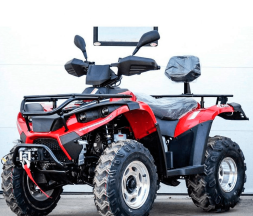 Квадроцикл LINHAI-YAMAHA D300, фото 2