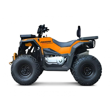 Квадроцикл Progasi Race Jumper 200 SE, фото 4