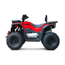Квадроцикл Progasi Race Jumper 200 SE, фото 1