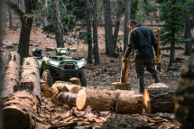 Квадроцикл KAWASAKI Brute Force 750 LE EPS (2024) (ПСМ)