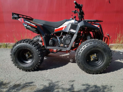 Квадроцикл ATV Commander 200, фото 5