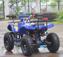 Квадроцикл RAPTOR Max Pro 49cc (2024)