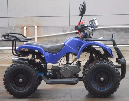 Квадроцикл RAPTOR Max Pro 49cc (2024), фото 2