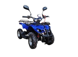 Квадроцикл RAPTOR Max Pro 49cc (2024), фото 1
