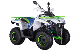 Квадроцикл ROCKOT Hammer 200 Premium, фото 2