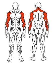 Рули (положение стоя) серый - Уличный тренажер - СТ 103-13, фото 6 Рули (положение стоя) серый - Уличный тренажер - СТ 103-13, фото 6