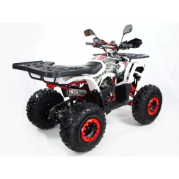 Квадроцикл бензиновый MOTAX ATV Grizlik Super LUX 125 cc, фото 2 Квадроцикл бензиновый MOTAX ATV Grizlik Super LUX 125 cc, фото 2