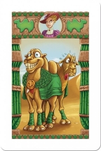 Camel Up!