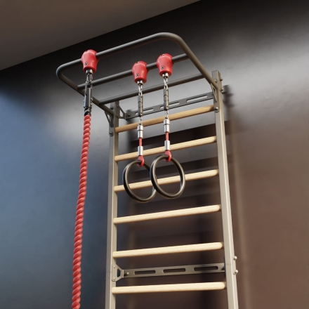 Шведская стенка со скалодромом Rock-s черная, фото 3