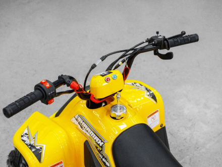 Квадроцикл SHARMAX 130 Cross, фото 30