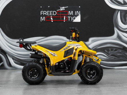 Квадроцикл SHARMAX 130 Cross, фото 27