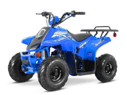 Квадроцикл SHARMAX 130 Cross, фото 12 Квадроцикл SHARMAX 130 Cross, фото 12