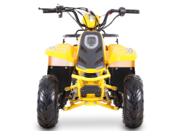 Квадроцикл SHARMAX 130 Cross, фото 5 Квадроцикл SHARMAX 130 Cross, фото 5