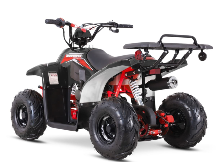 Квадроцикл SHARMAX 130 Cross, фото 2