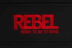 Многофункциональный тренажер с жимом ногами REBEL G9LP, фото 2