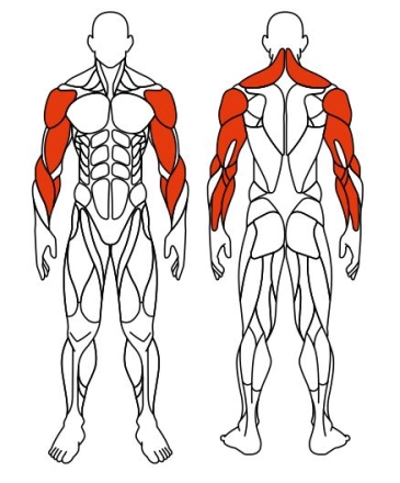 Рули (положение сидя) красный - Уличный тренажер - СТ 104-11, фото 6