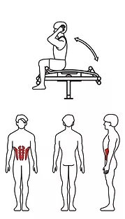 ZOV-018 Пресс-скамья двойная, фото 3