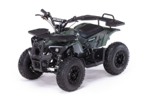 Квадроцикл MOTAX Grizlik X16 (PS, BW)