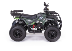 Квадроцикл MOTAX Grizlik X16 (PS, BW), фото 10