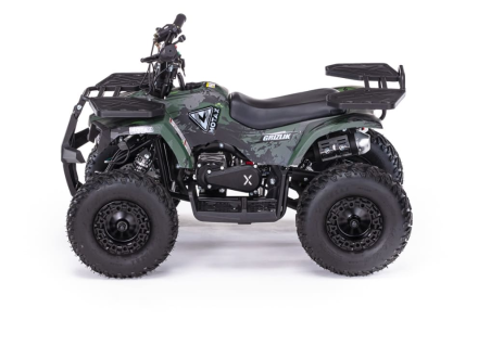 Квадроцикл MOTAX Grizlik X16 (PS, BW), фото 6