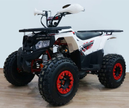 Квадроцикл YACOTA Fusion 125, фото 2 Квадроцикл YACOTA Fusion 125, фото 2