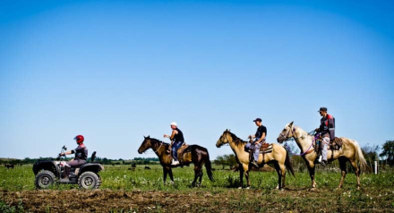 Квадроцикл BALTMOTORS Striker 700 EFI (ПСМ), фото 15