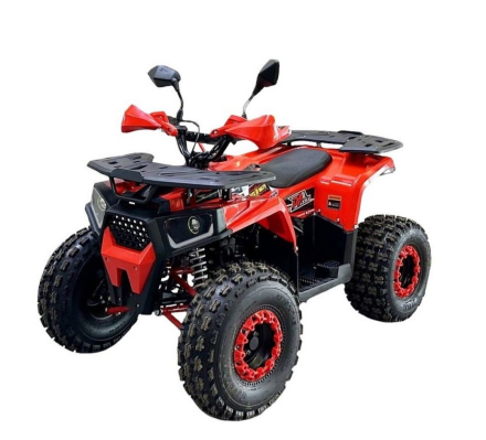 Квадроцикл BISON Forest 125 Lux, фото 1