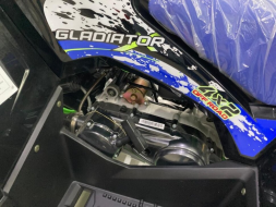 Квадроцикл GLADIATOR F200 Lux, фото 6 Квадроцикл GLADIATOR F200 Lux, фото 6