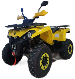 Квадроцикл GLADIATOR F200 Lux, фото 1 Квадроцикл GLADIATOR F200 Lux, фото 1