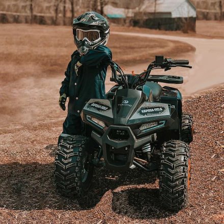 Квадроцикл YACOTA Raposa, фото 5