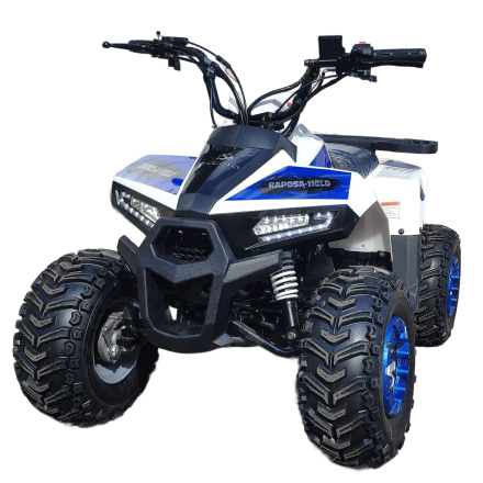 Квадроцикл YACOTA Raposa, фото 2