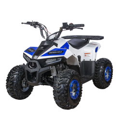 Квадроцикл YACOTA Raposa, фото 1 Квадроцикл YACOTA Raposa, фото 1