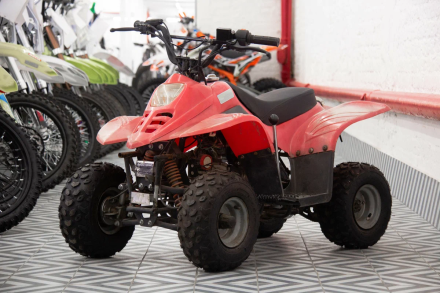 Квадроцикл IRBIS Dingo 50s, фото 3