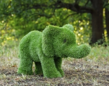 Топиари слон Кроха - газон Premium