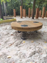 Диск-балансир Диск-балансир