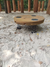 Диск-балансир Диск-балансир