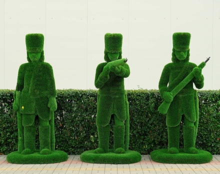 Топиари Гусар, Прицеливается - газон Deluxe, фото 10