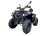 Квадроцикл GLADIATOR F200 Premium