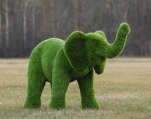 Топиари слоник Антошка - газон Premium