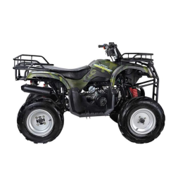 Квадроцикл WELS Purga 170, фото 2 Квадроцикл WELS Purga 170, фото 2