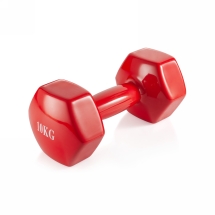 Гантель неразборная  10 кг винил