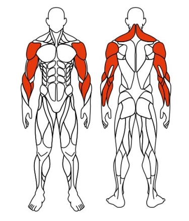Рули (положение стоя) красный - Уличный тренажер - СТ 105-11, фото 6