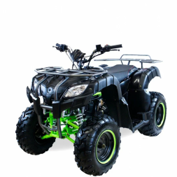 Квадроцикл MOTAX ATV Grizlik 200, фото 1