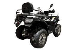 Квадроцикл RATO 200 LD Premium GT, фото 3